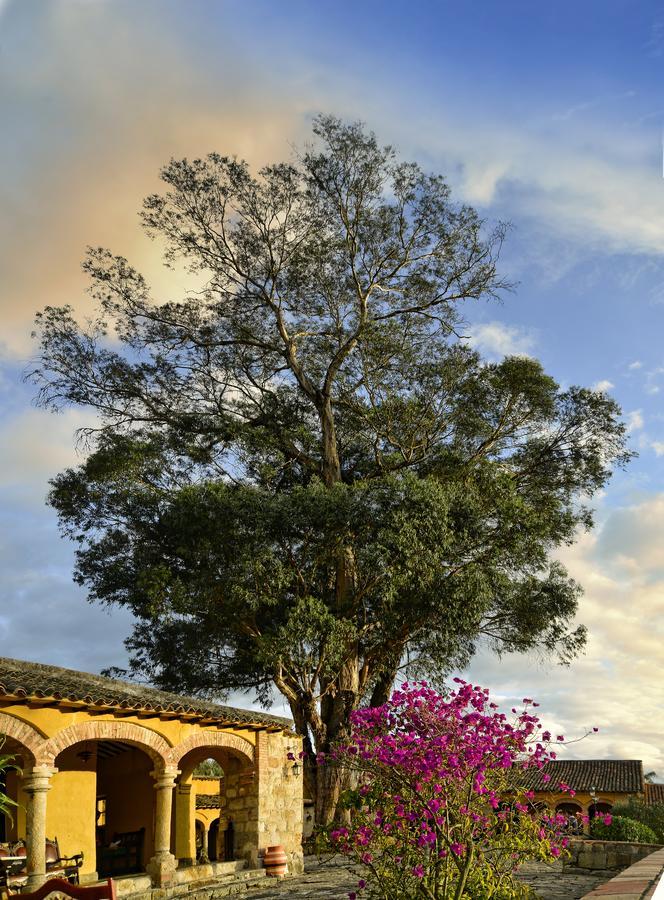 Hotel Hacienda El Salitre Paipa Exteriör bild